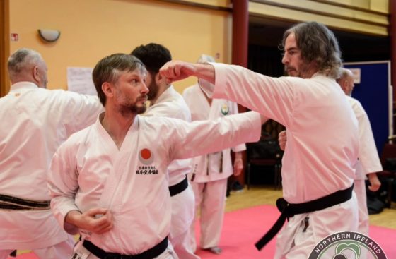 The Kumite